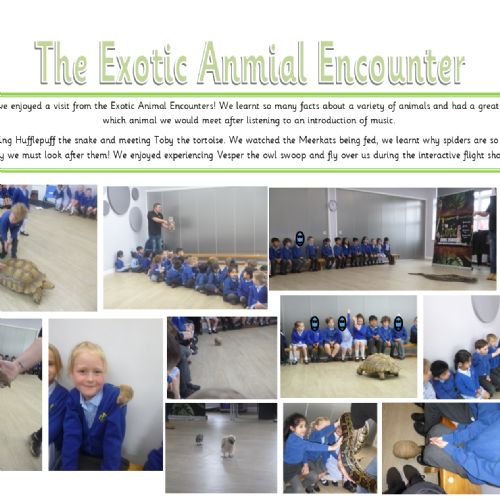 TheExoticAnimalEncounter